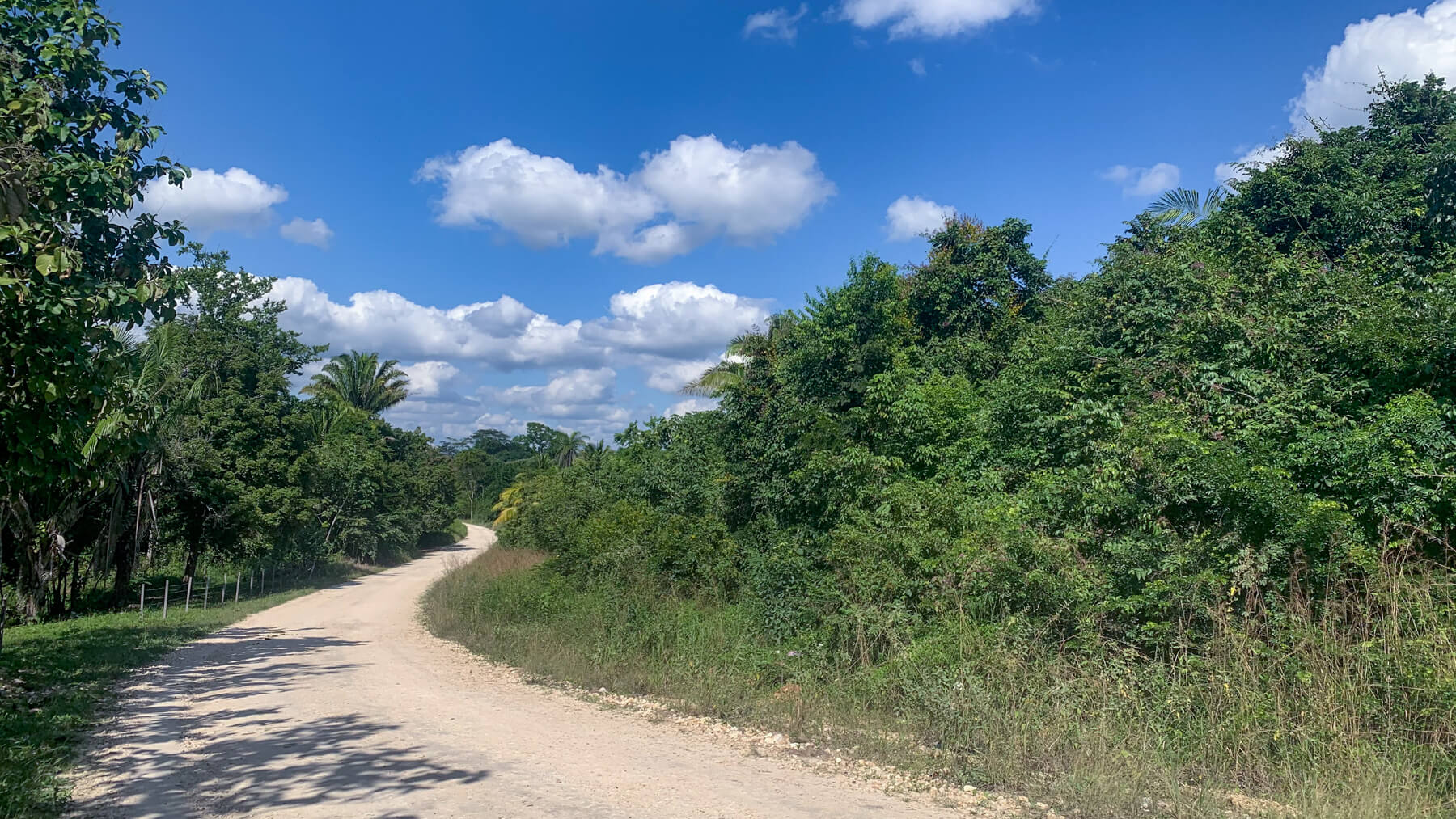 7.516 Acres of Pristine, Untouched Land in Mount Hope • Vista Real Estate